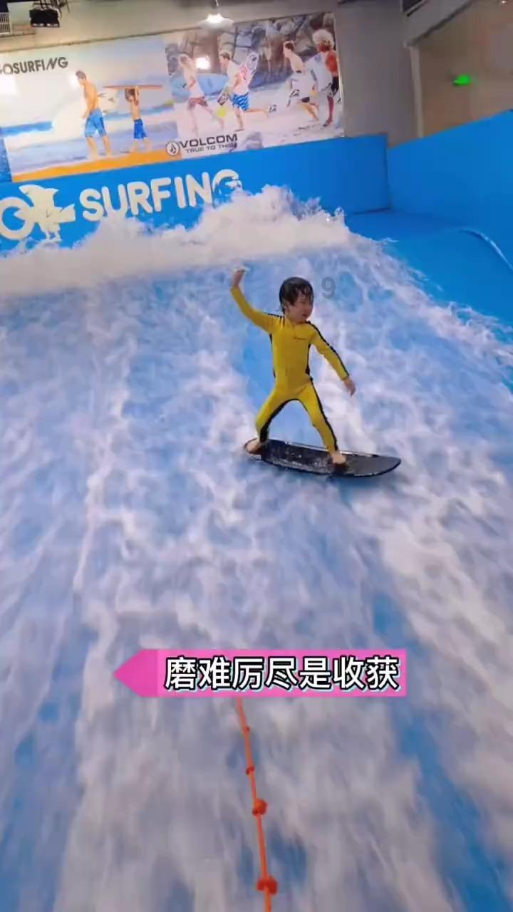 破碎的动物图形3
